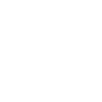 Company Vision