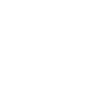 Core Values